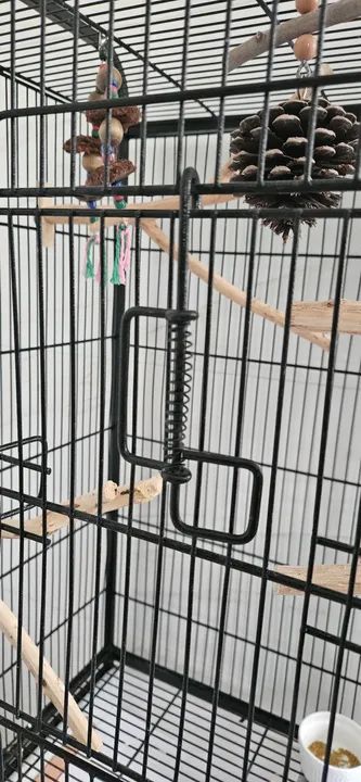 Gaiola para Pássaros - Foto 3