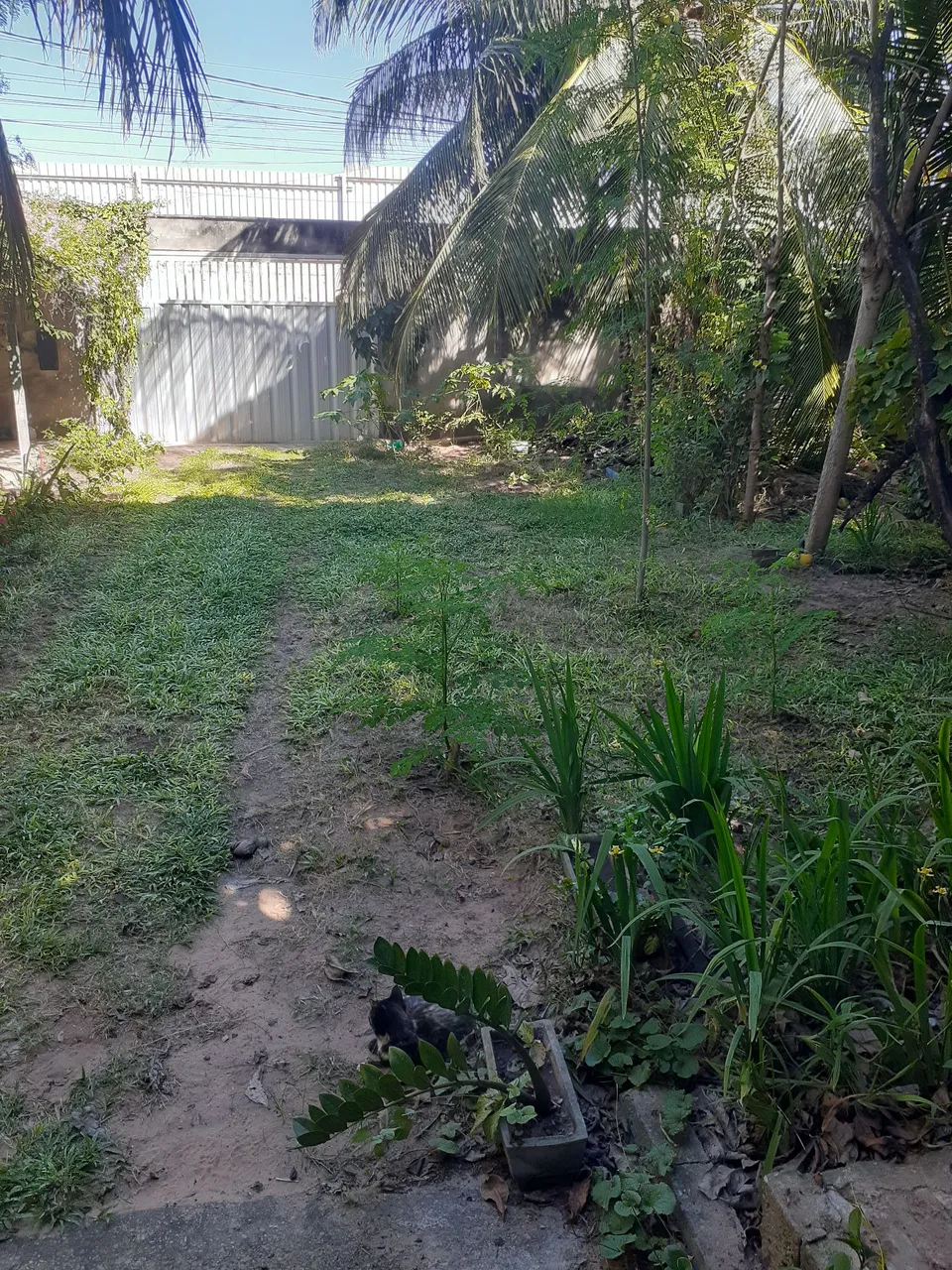 Casa Grande Sobrado