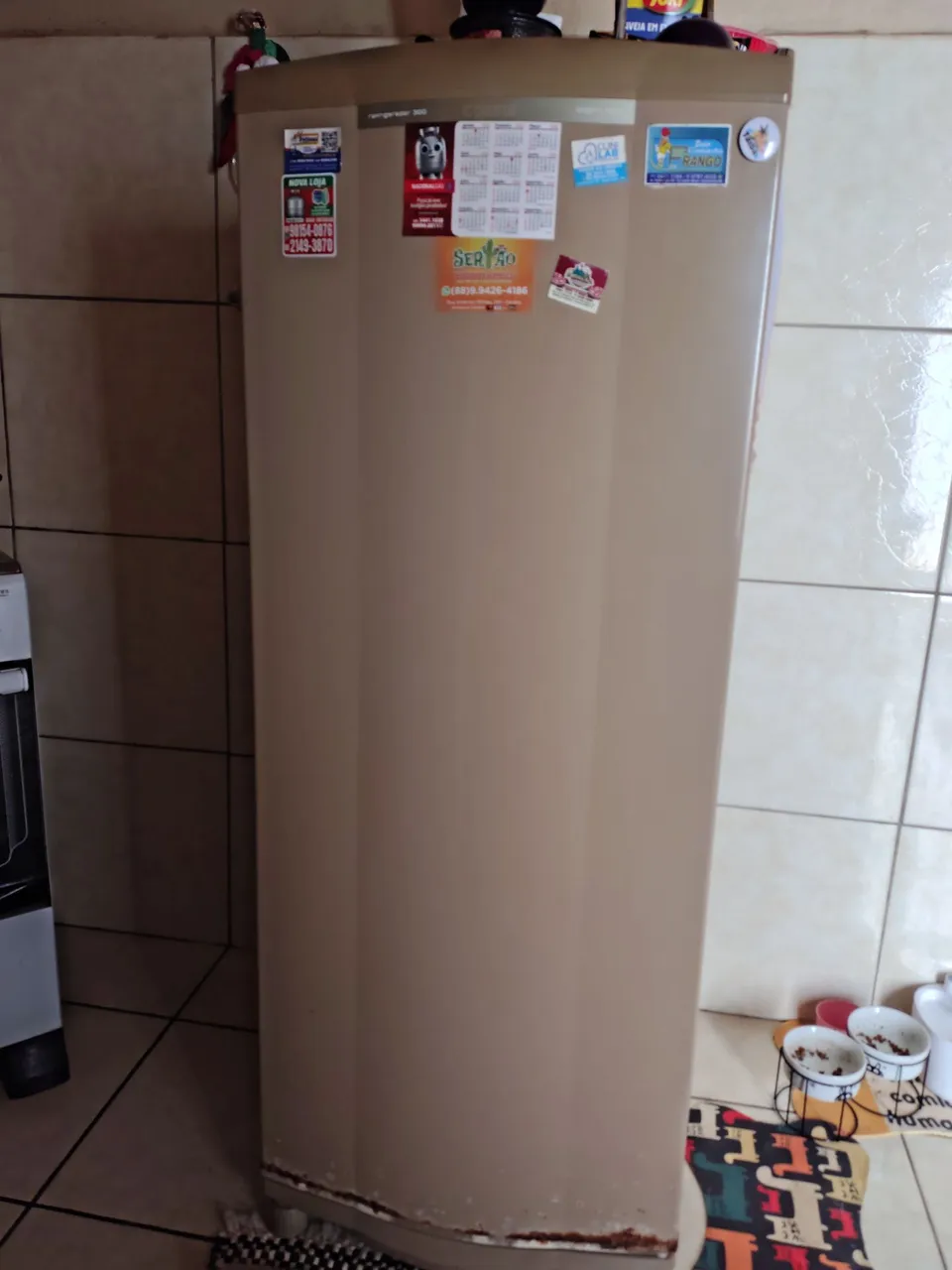 Geladeira Consul degelo seco 300L