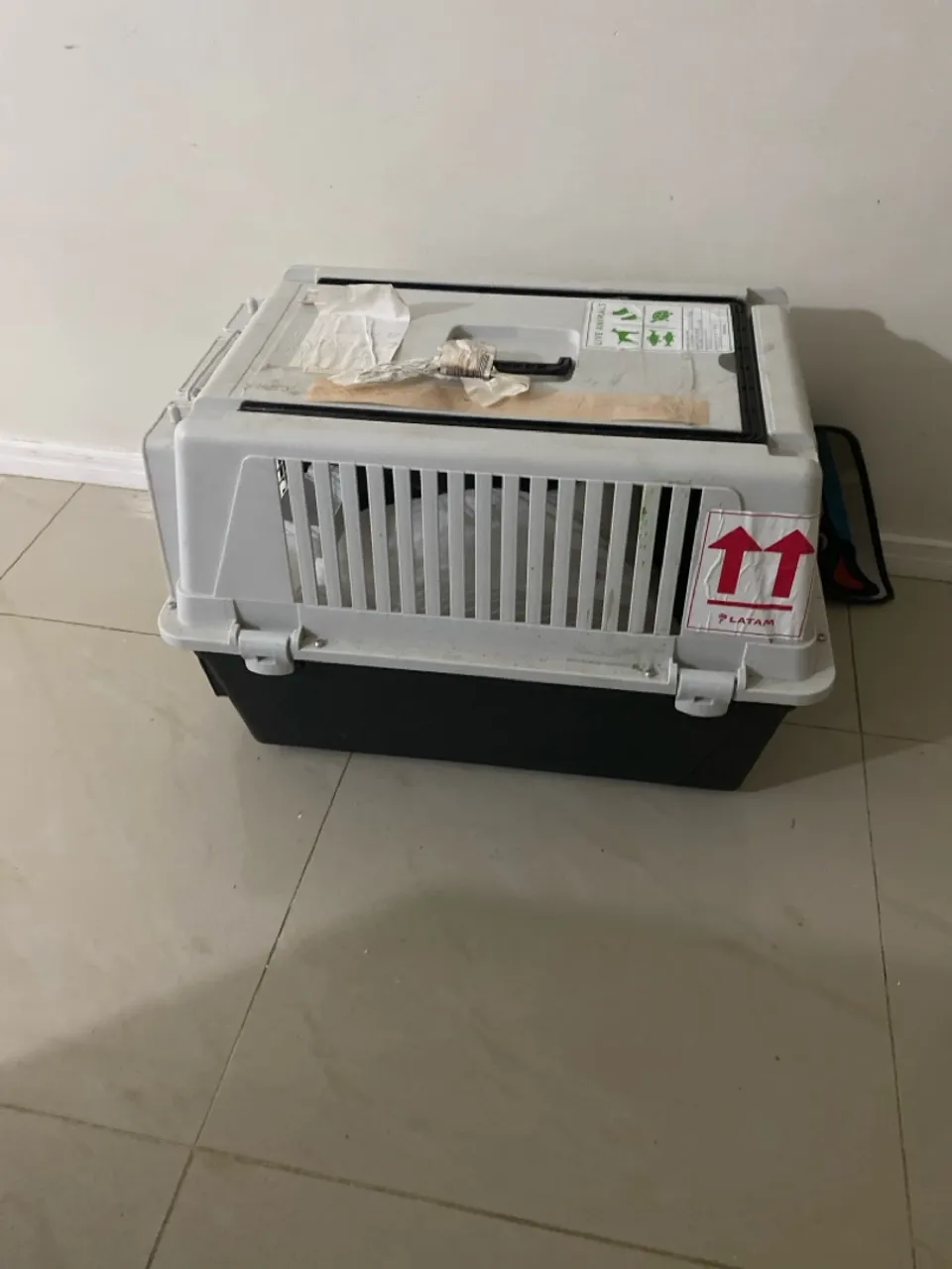 Casinha para transporte