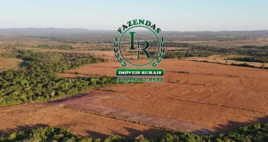 Fazenda 205 alqueires com Dívida - Foto 4