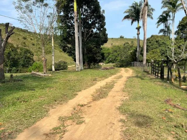 FAZENDA EM CRAVOLÂNDIA - 340 HECTARES - Foto 4