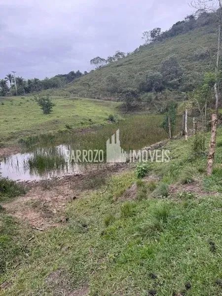 Barrozo Imóveis - Sítio a venda com 2.02 alq (9.8 ha) com córrego, nascente, pasto. - Foto 5