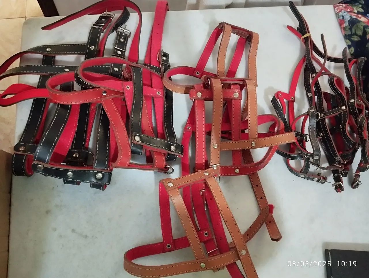 Acessórios para cães -Novo - Foto 2