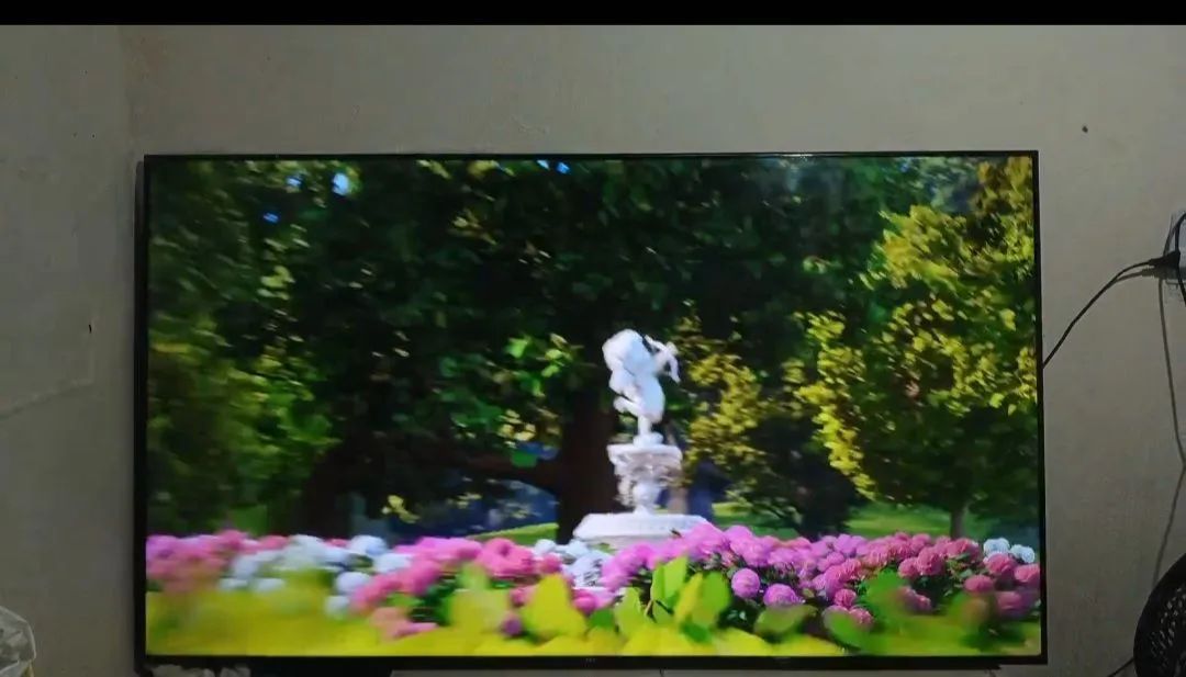 TCL 65-inch TV64294911053315121