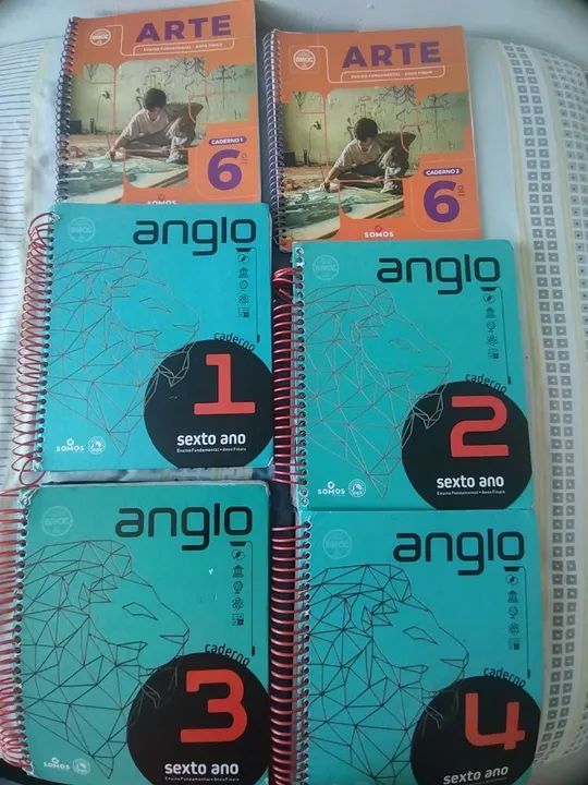 Baixamos, Módulos Anglo 6º Ano - 1 a 4