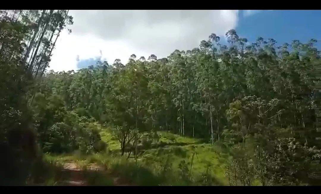 VENDO / TROCO FAZENDA DE 100 HECTARES EM NATIVIDADE DA SERRA ( 4289 )