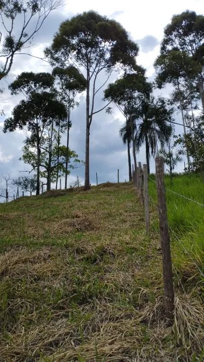 Terreno Patrimônio da Penha (Caparaó Capixaba) - Foto 5