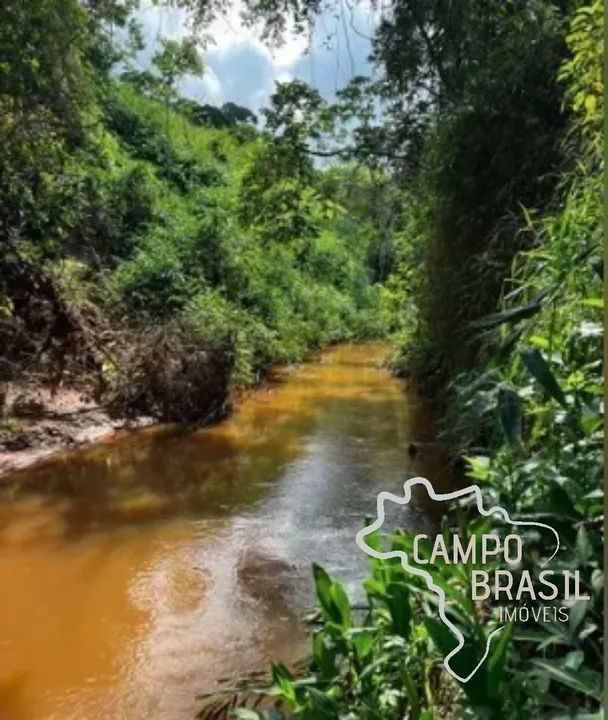 ÁREA RURAL 22.500M² COM CACHOEIRA EM JAMBEIRO ! - Foto 4
