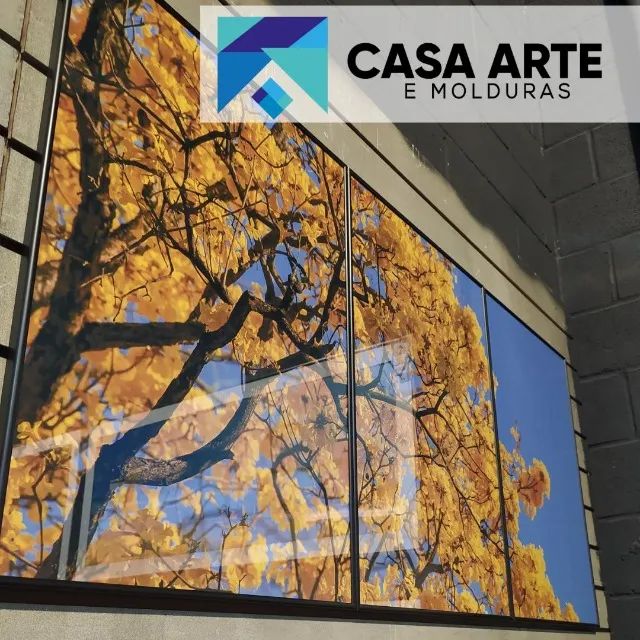 Quadros de ipe com composição  - Foto 2