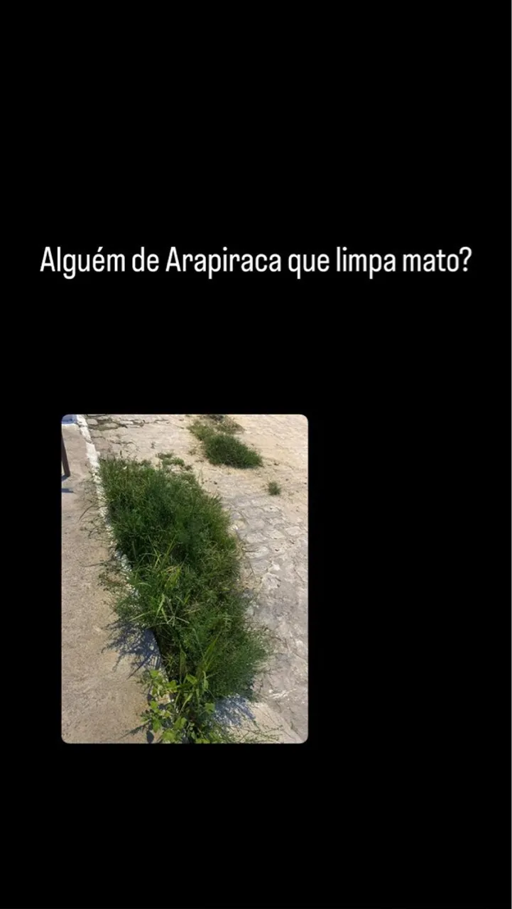 40 reais pra limpar esses matos