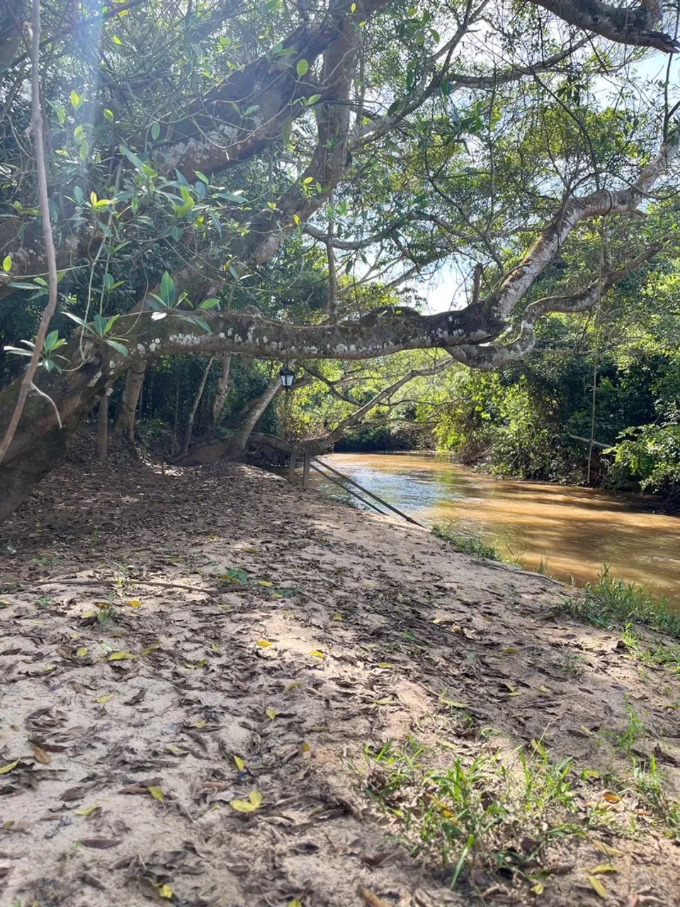 Foto - Goiânia - Jardim Goiás