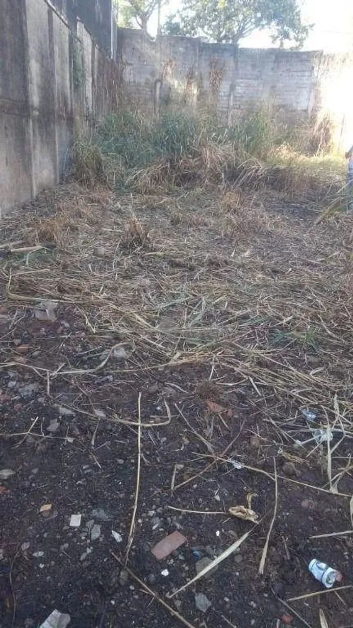 Terreno à venda, 294 m² por R$ 2.400.000,00 - Vila Mafra - São Paulo/SP - Foto 5