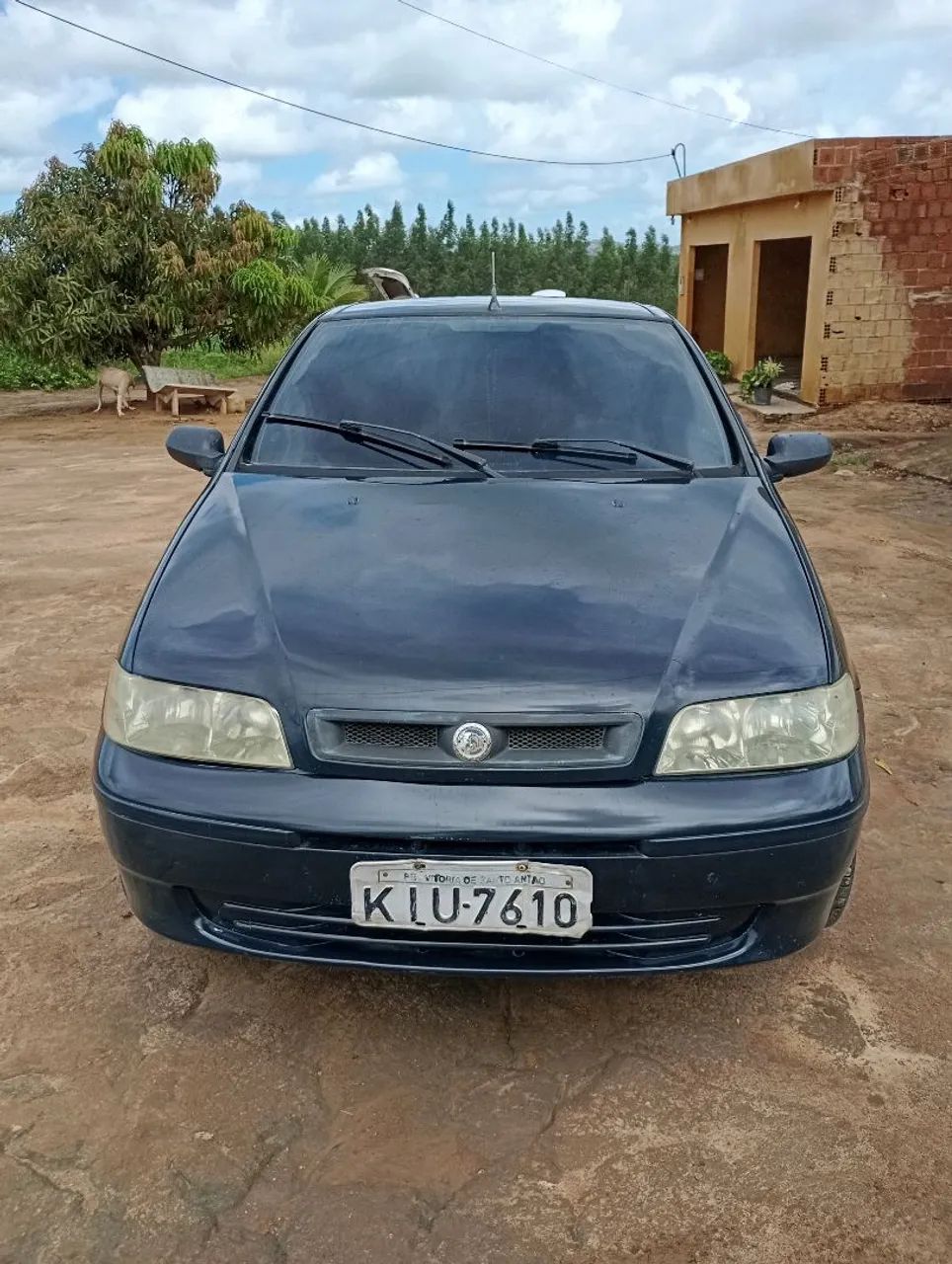 Pálio 444718184211435522