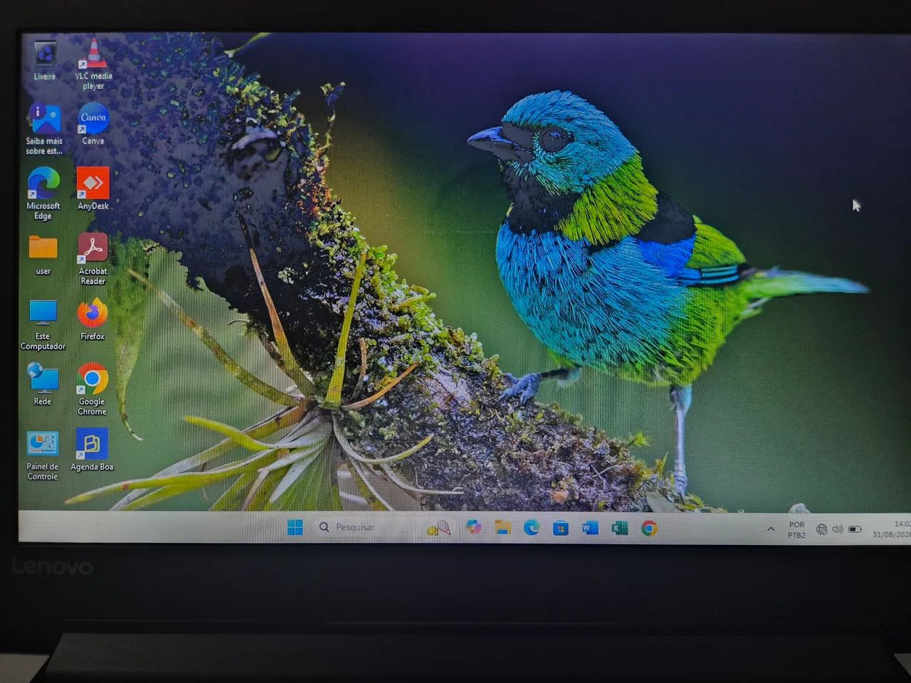 Notebook LENOVO IDEAPAD 310 - Foto 5