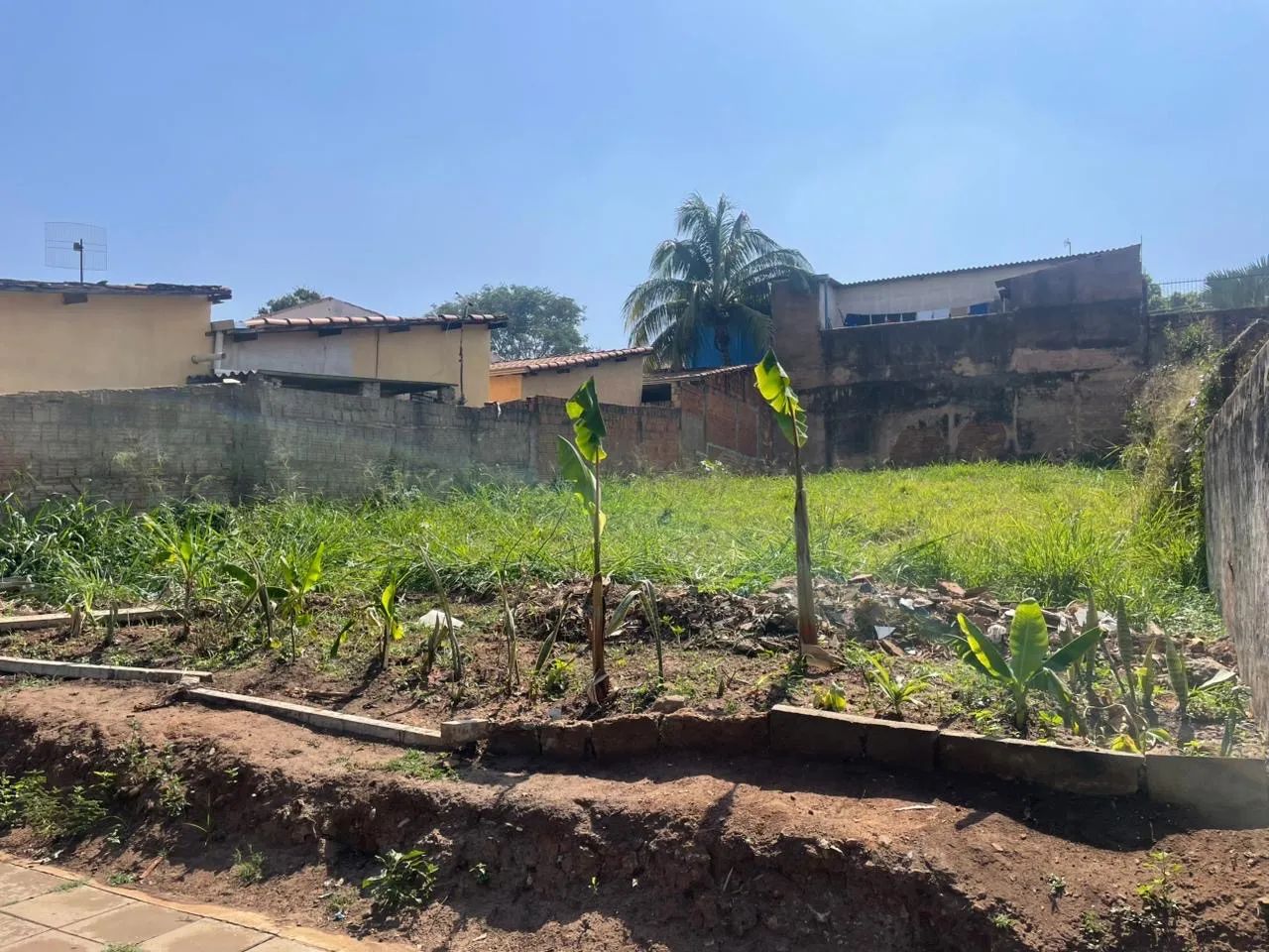 Foto - São José do Rio Preto - Parque Residencial Dom Lafayete Libanio