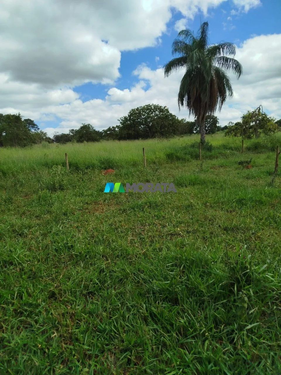 FAZENDA À VENDA - 167 HECTARES - ABAETÉ (MG)