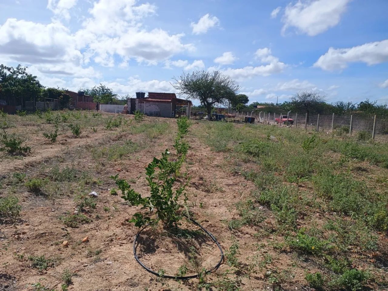 Vende-se Chácara  - Foto 5