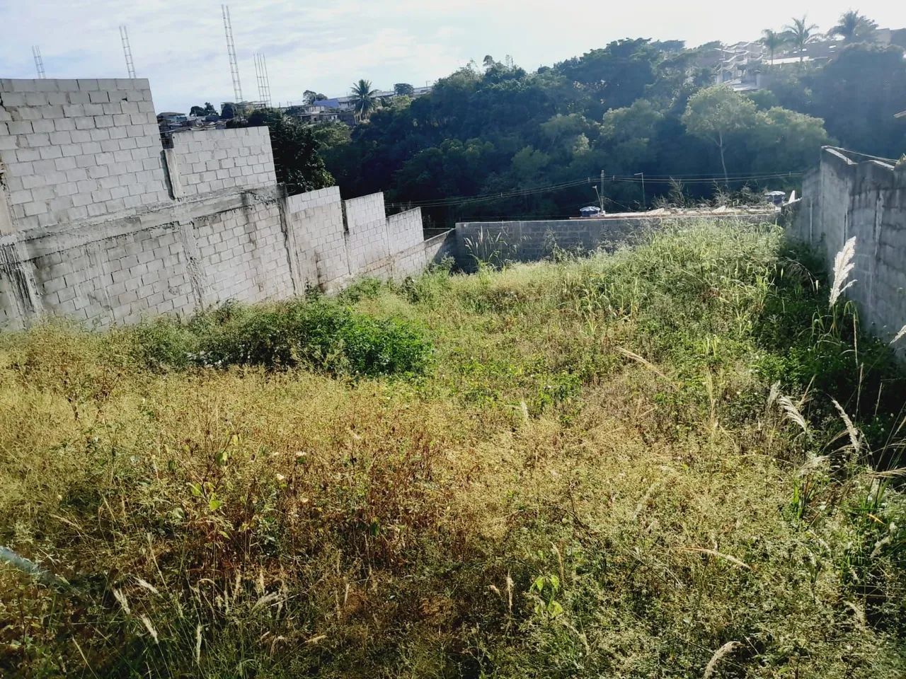 Terreno murado em Nova Carapina II - Foto 5