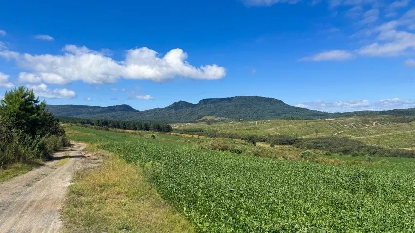 Fazenda com 101 hectares - Santa Catarina - Foto 4
