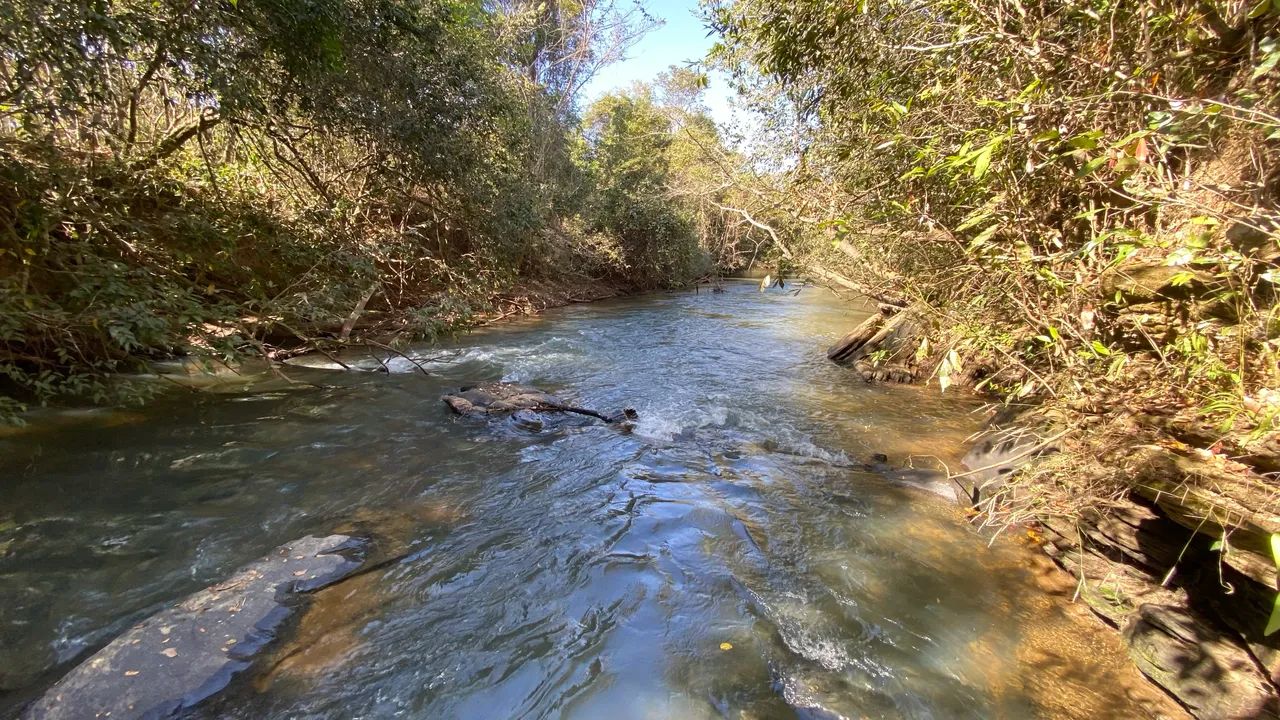 Chácara de 20mil mt. Com rio passa 4 cercadas e com energia! - Foto 3