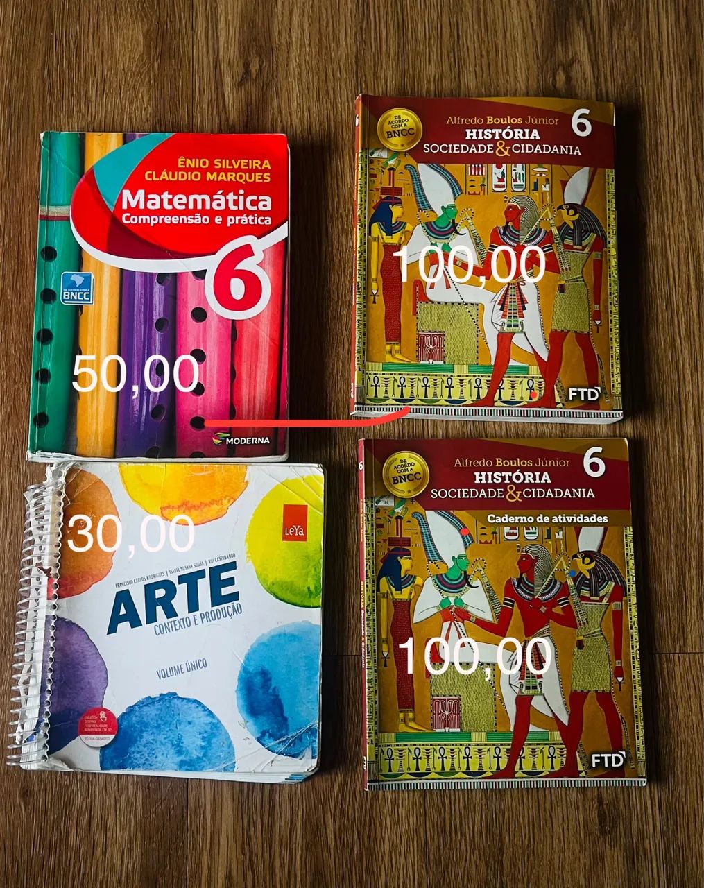 Livros didáticos 