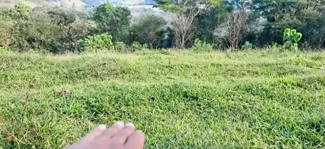 Estância Alto da Serra - Foto 2