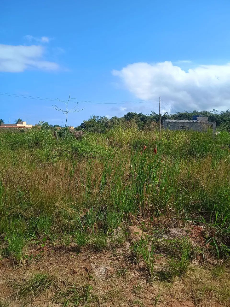 Vende-se terreno em Jaconé  - Foto 2