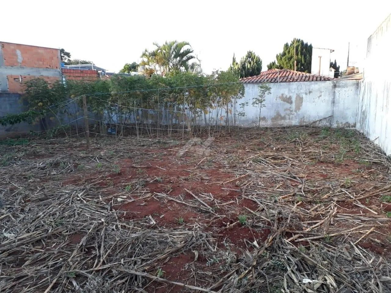 terreno - Cidade Universitária - Campinas - Foto 4