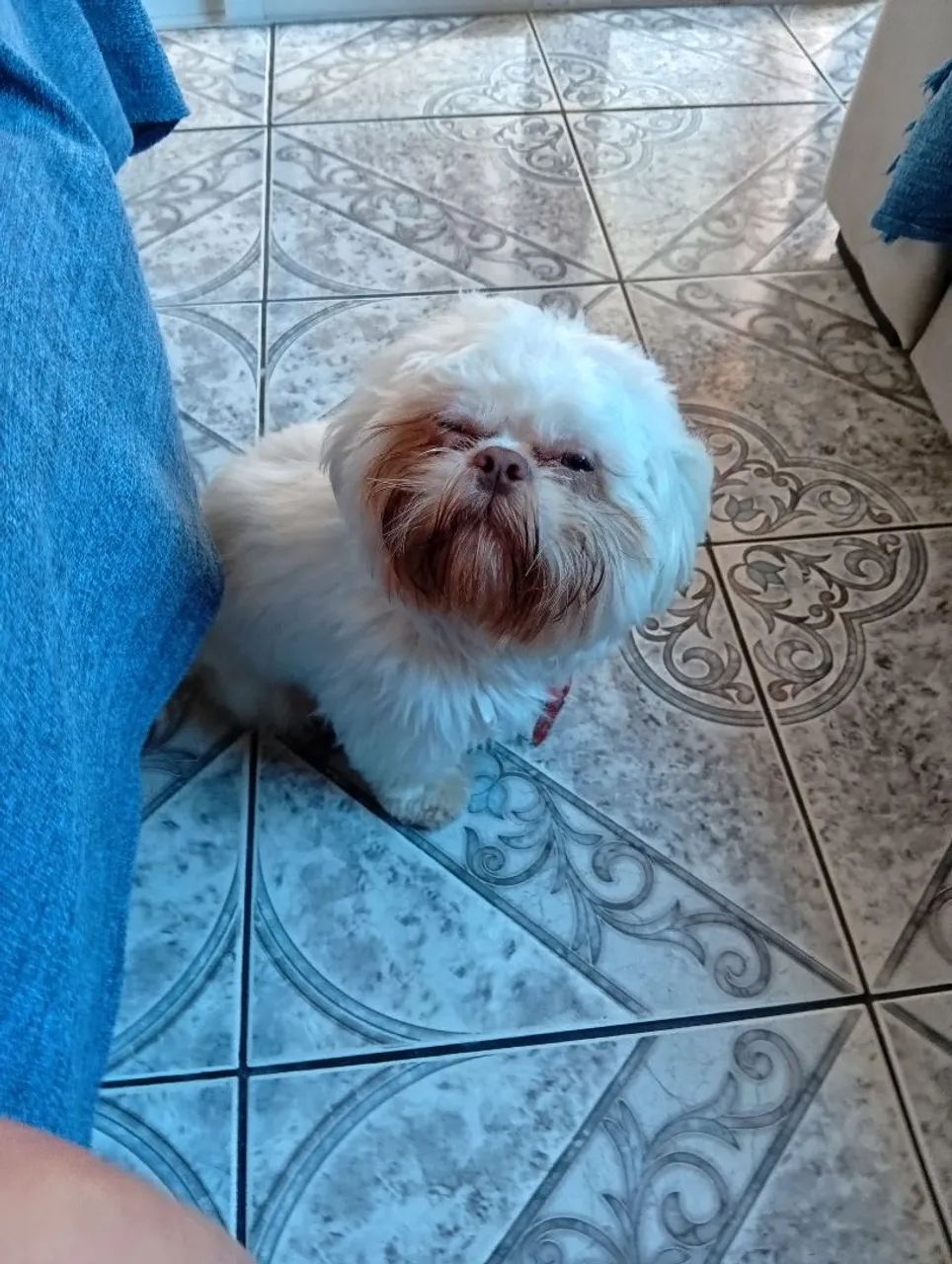 Procurando uma namorada  - Foto 3