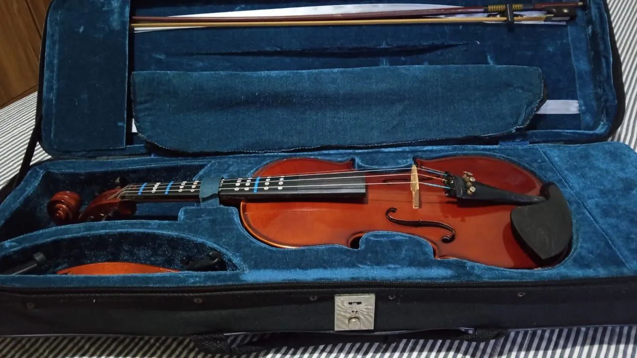 Violino