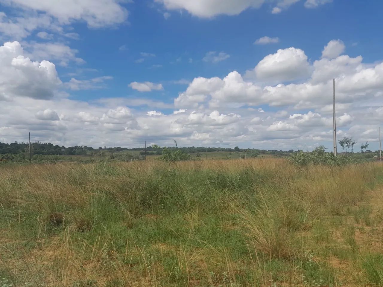Venda - Foto 2