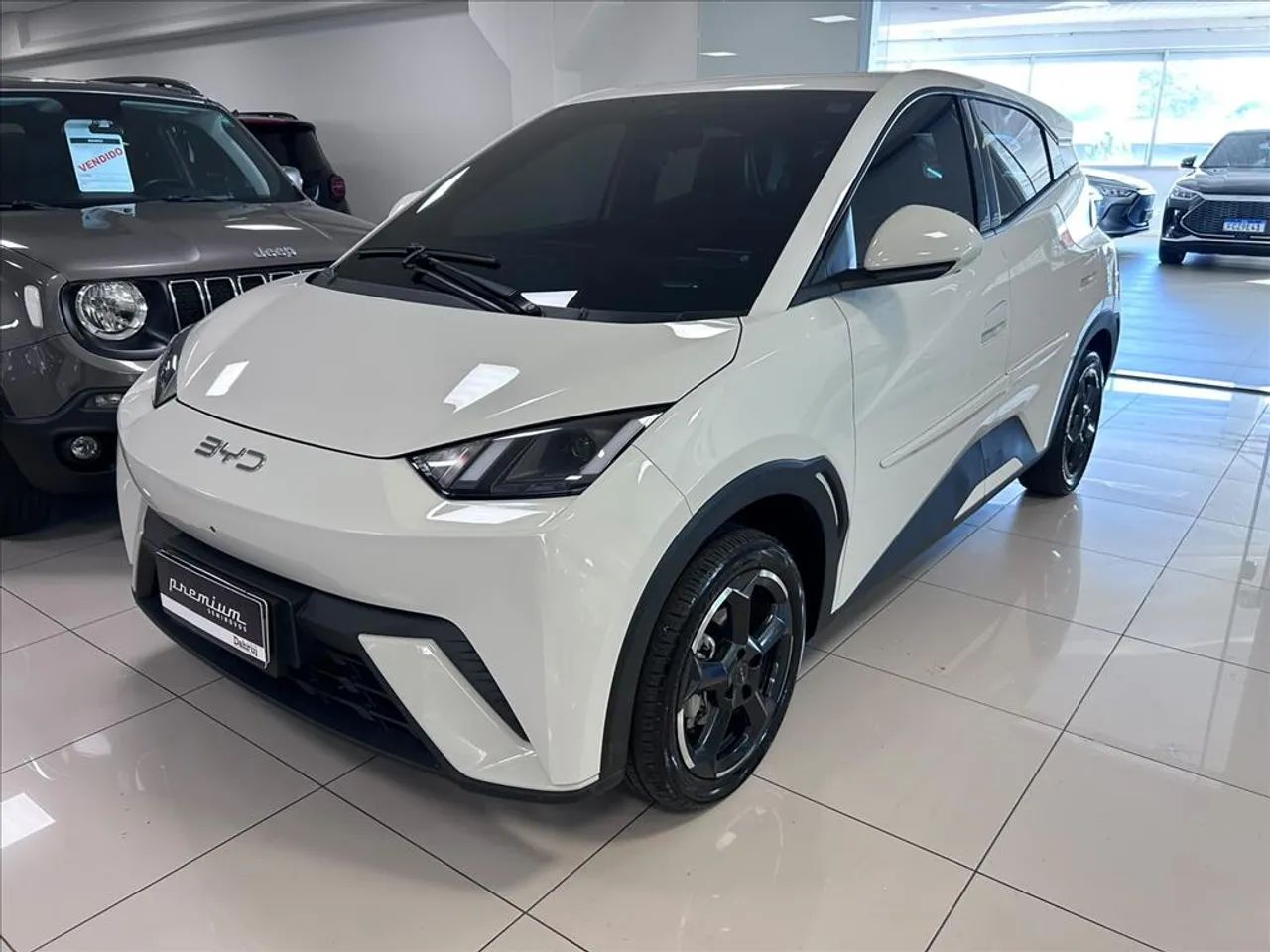 BYD Dolphin Mini (Elétrico) 2025