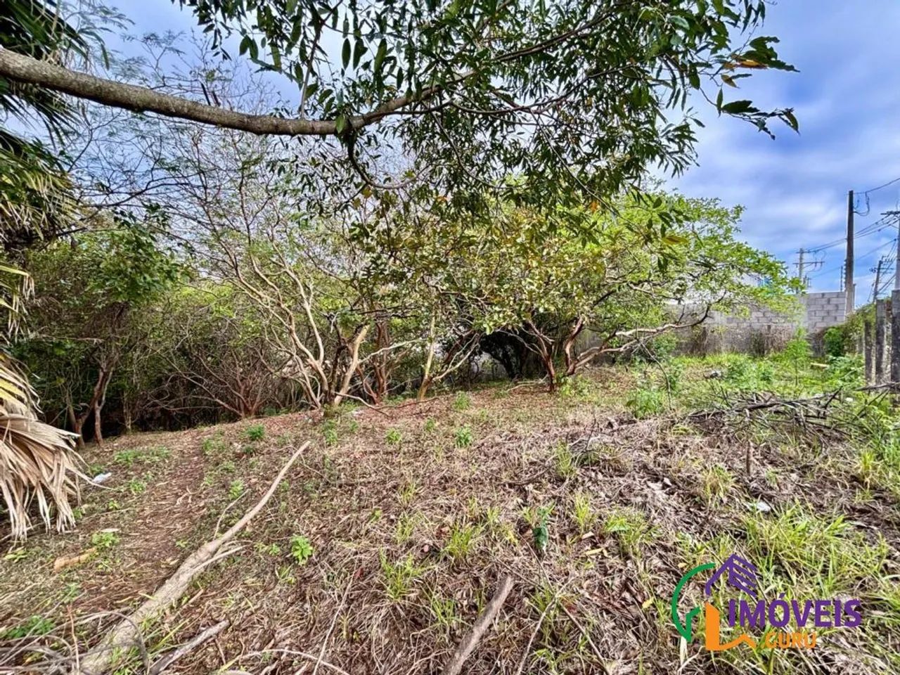 TERRENO - VALE VERDE - SP - Foto 4