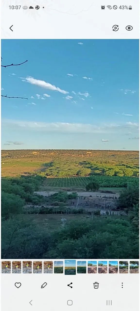 Ibimirim 