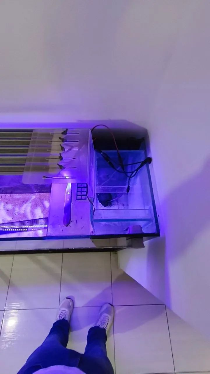Aquário 1,30m usado - Foto 3