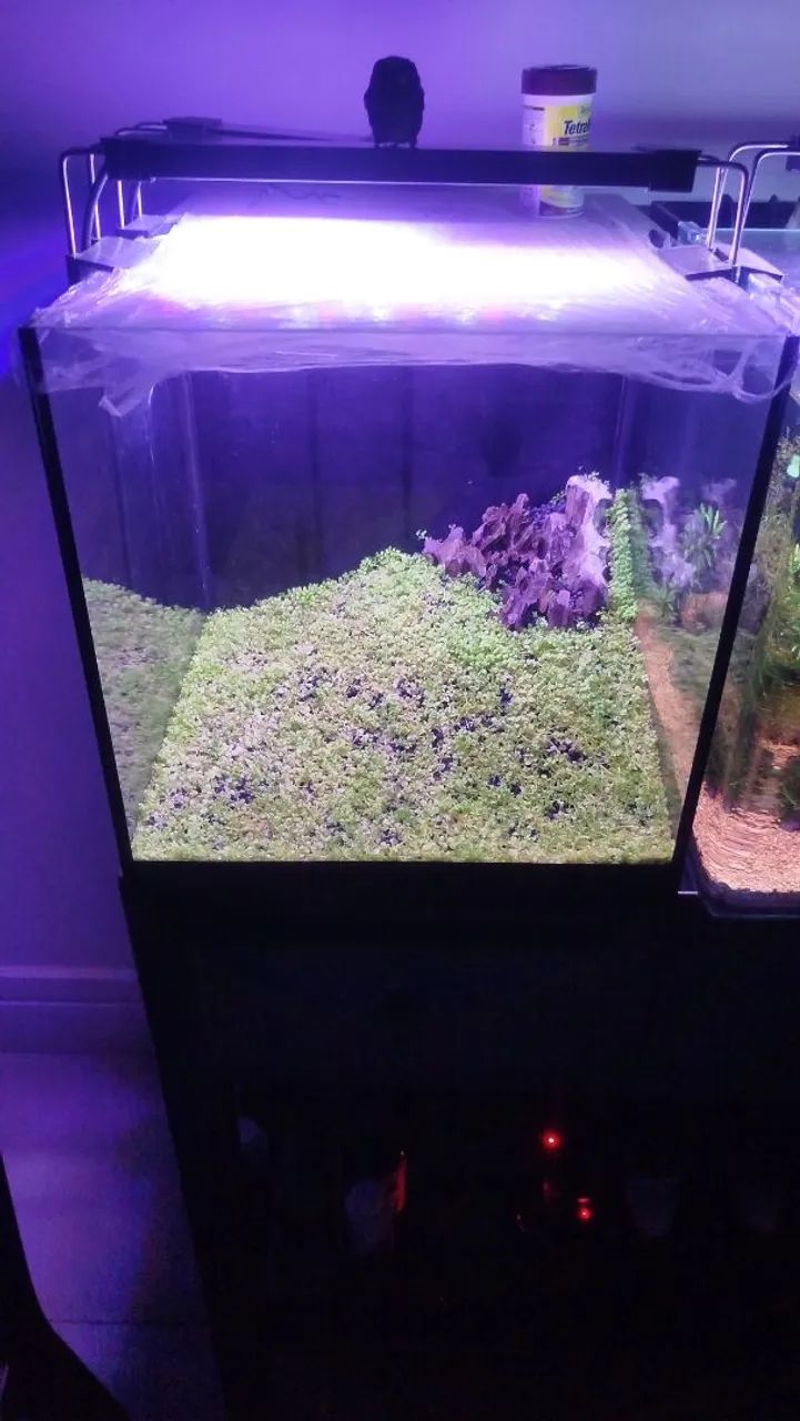 Aquários de 27 litros  - Foto 2