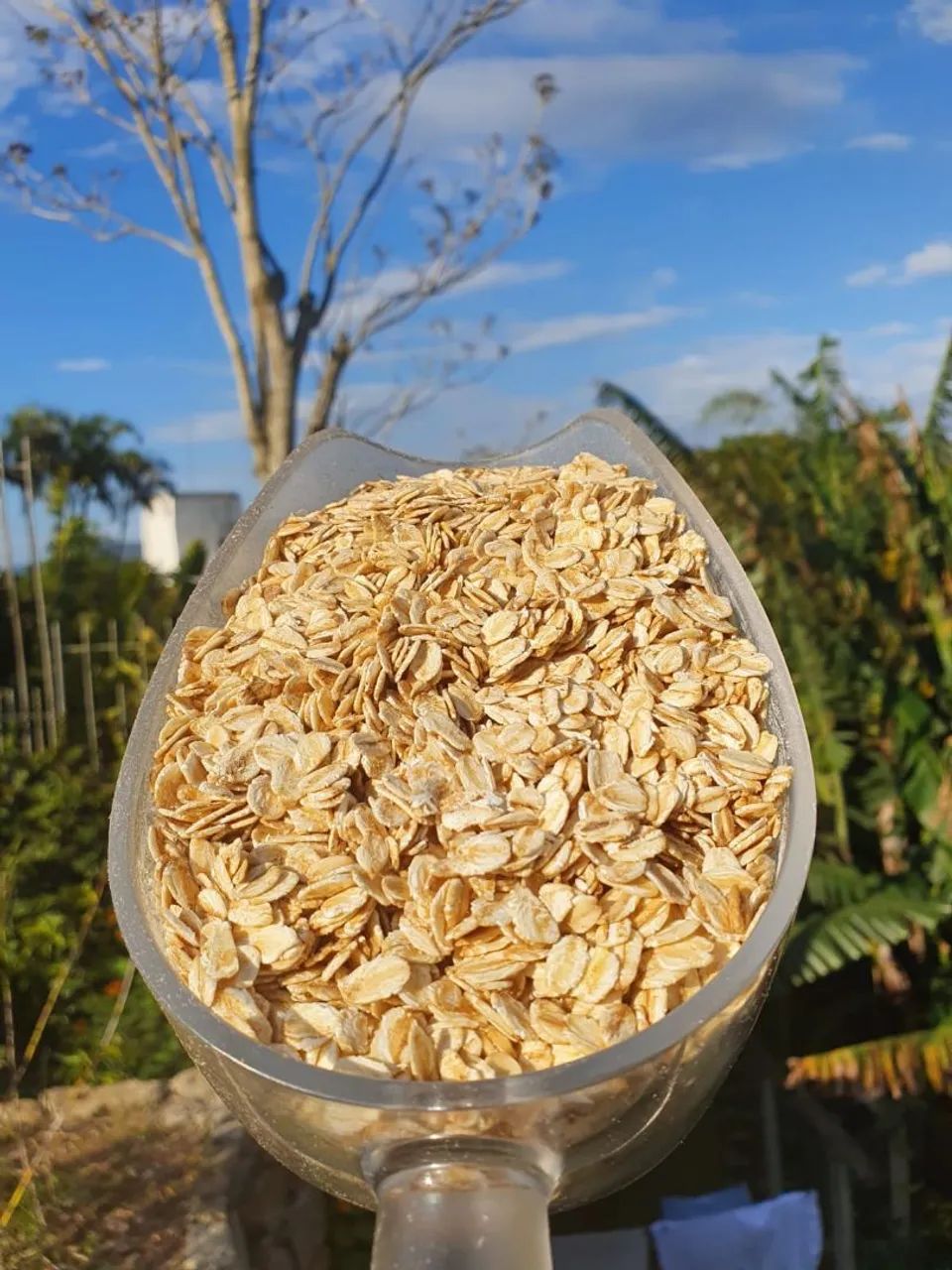 Aveia 1kg apenas 9,90