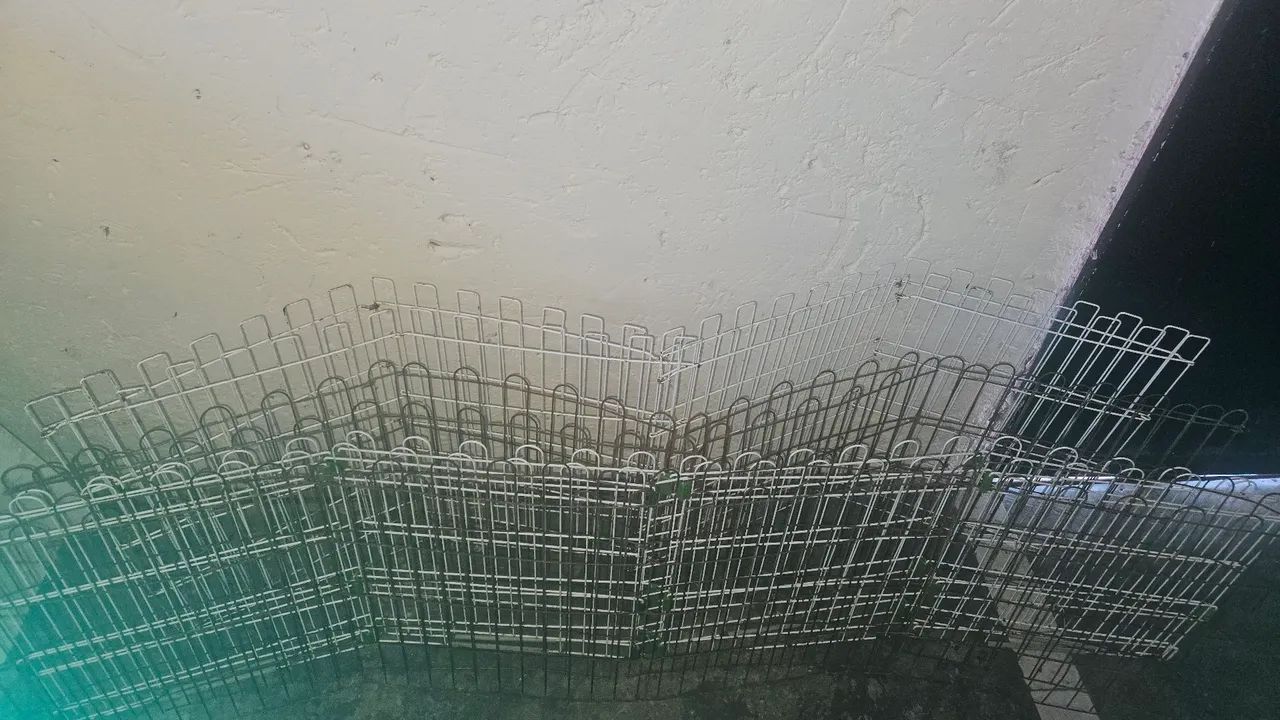 Vendo certinho pra animais - Foto 3