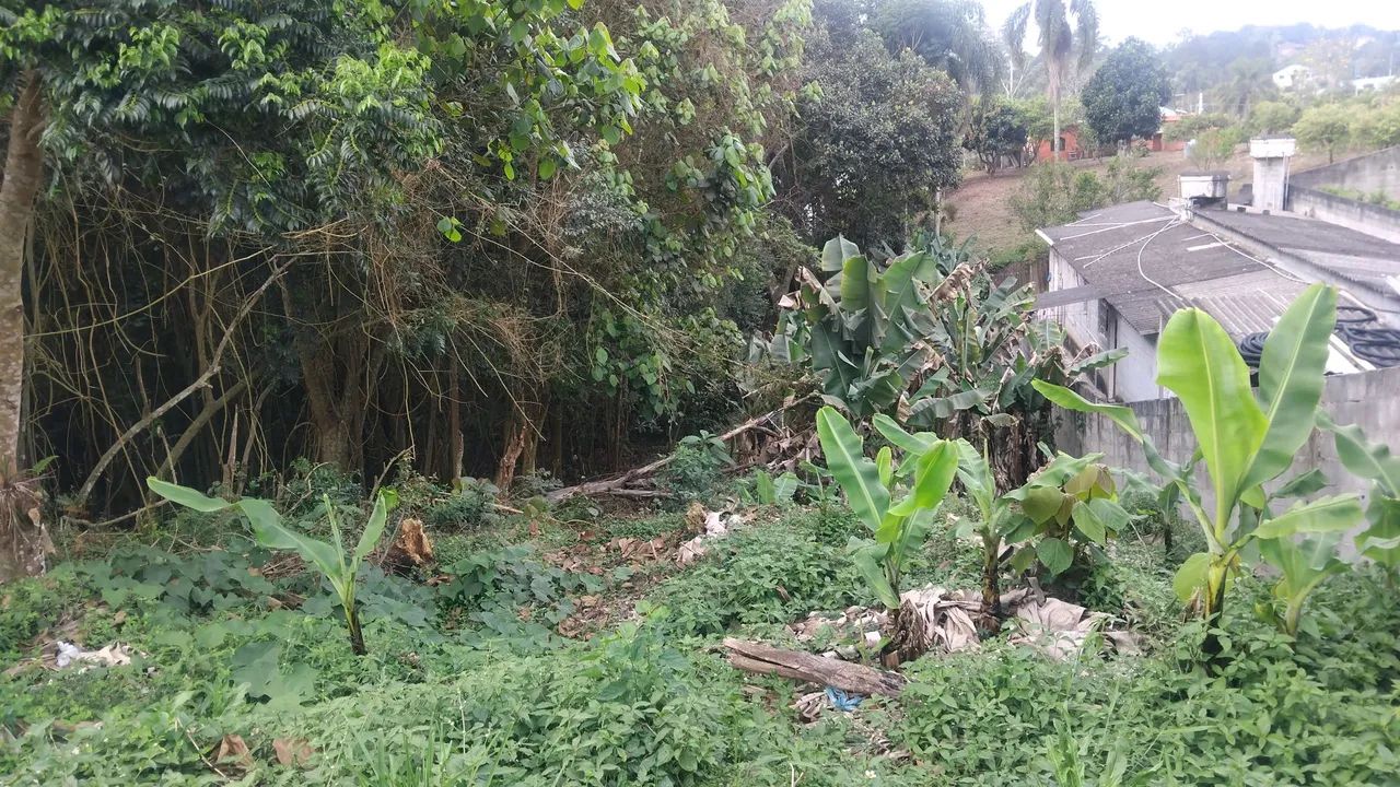 Terreno chacrinha - Foto 3