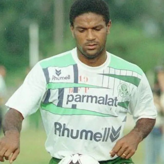 Camisa Original 1993 Treino Palmeiras Rhumell Tamanho G - Roupas