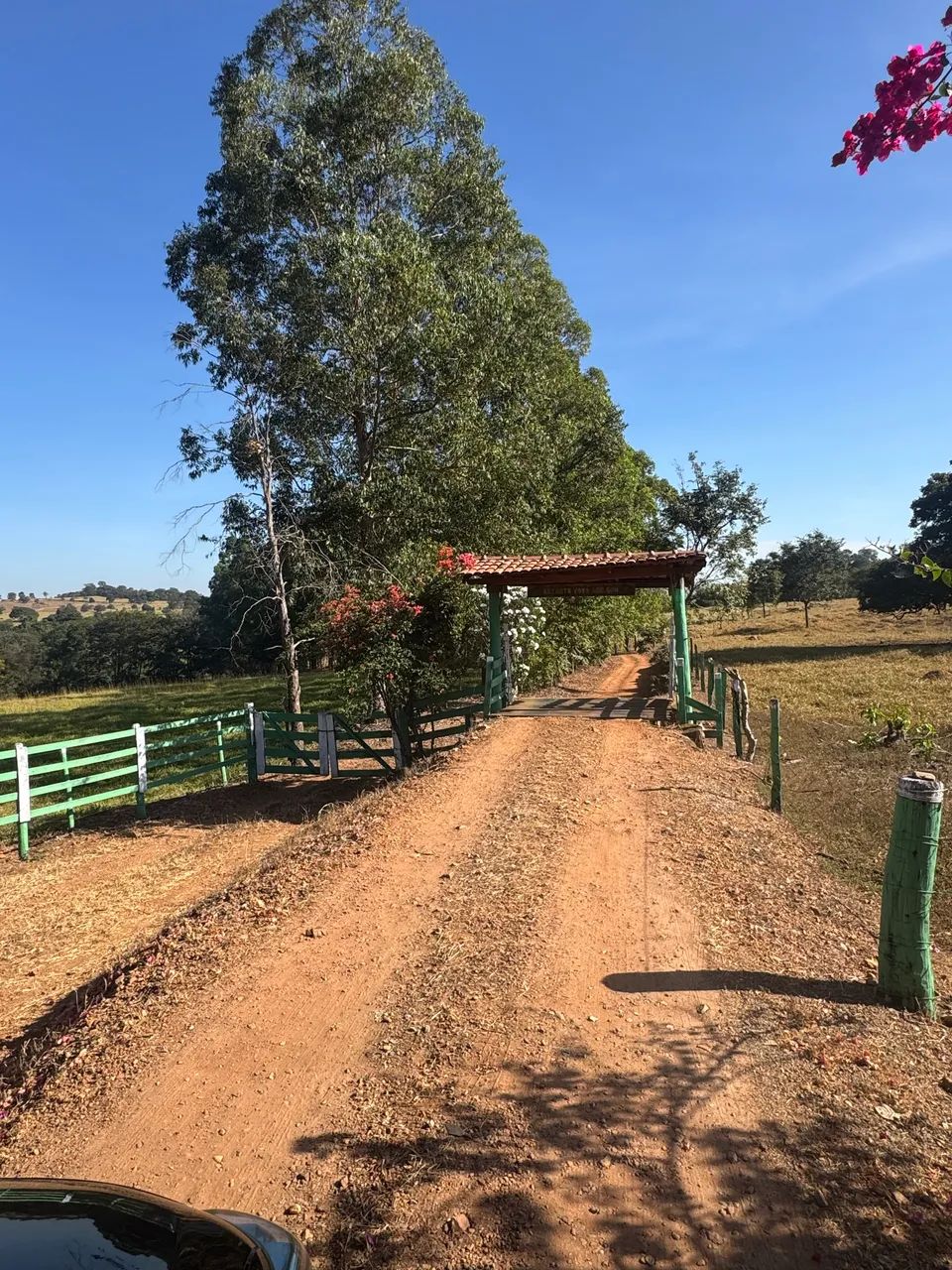 Chácara em Trindade  - Foto 2