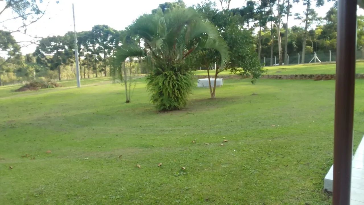 Foto - Curitiba - Mercês
