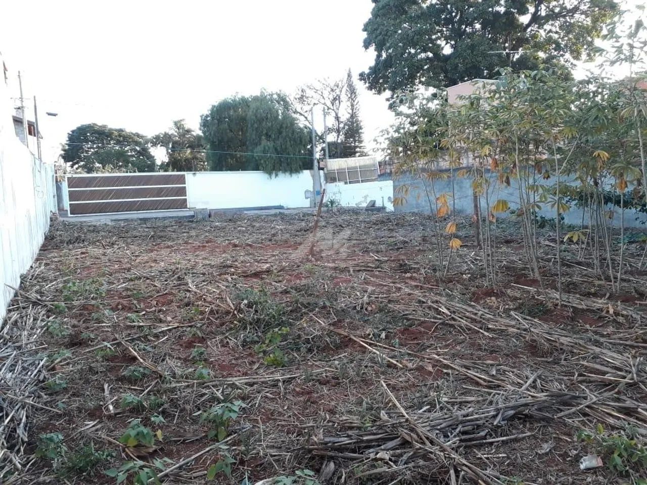 terreno - Cidade Universitária - Campinas - Foto 5