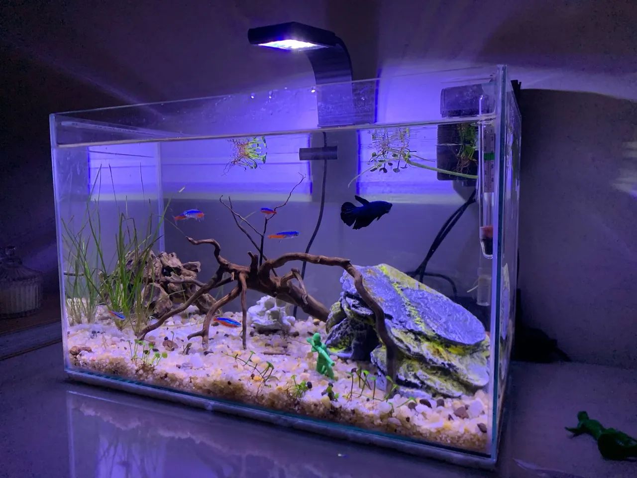 Aquário  - Foto 2