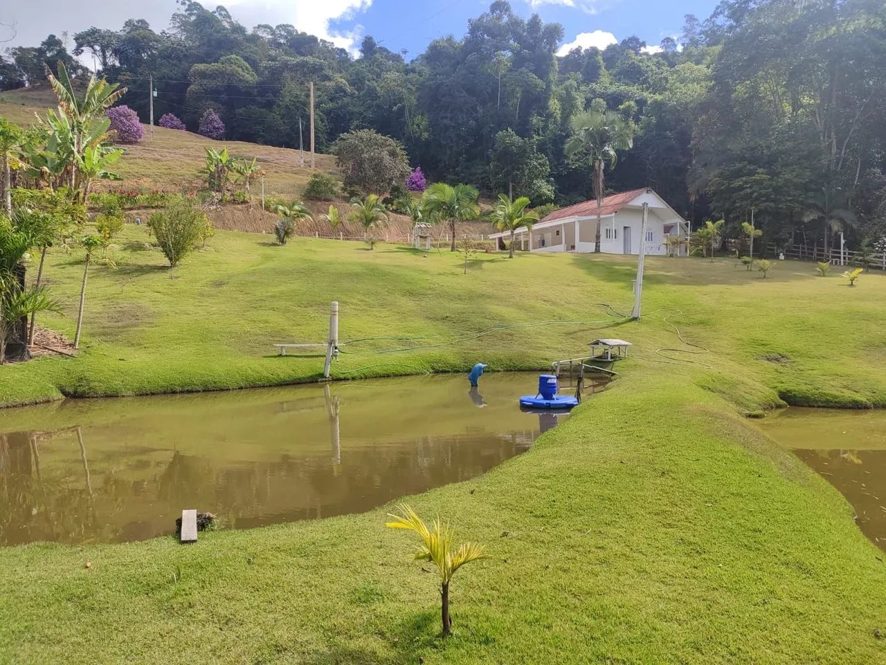 VENDO SITIO DOMINGOS MARTINS 