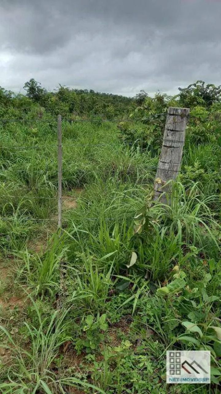 FAZENDA (324 Hectares), EM VARGEM GRANDE MT - Foto 4
