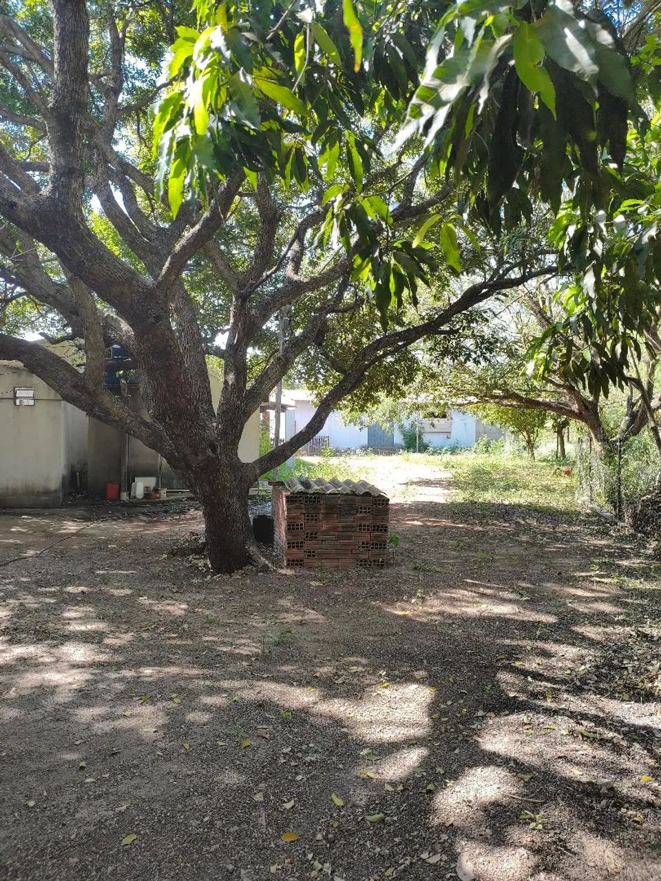 Oportunidade, Vendo Chácara com 9 hectares com 4 casas e 1 barracão. - Foto 3