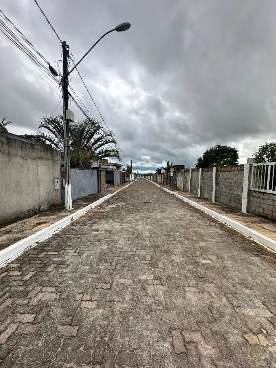 GALINHA MORTA NA PONTE ALTA NORTE - Foto 4