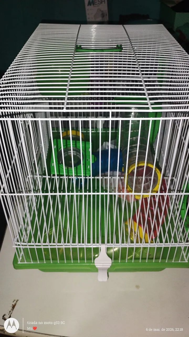 Vendo Gaiola Hamister C/ Acessórios 